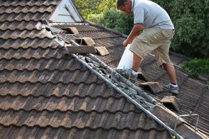 Roof-Repair Roof-Repair